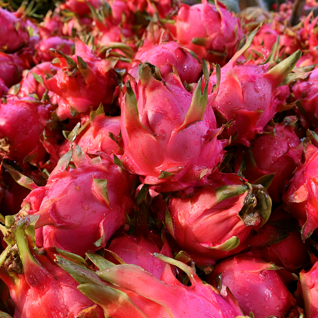 Dragon Fruit